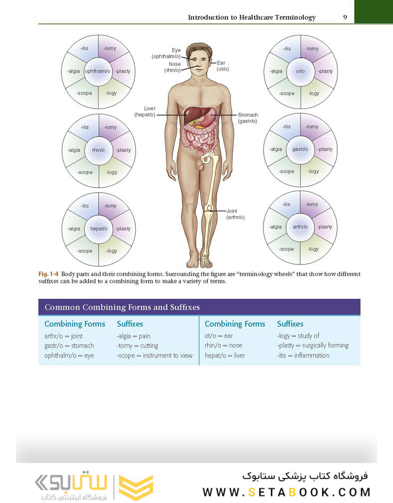 Medical Terminology - Anatomy for Coding 4th Edition2020