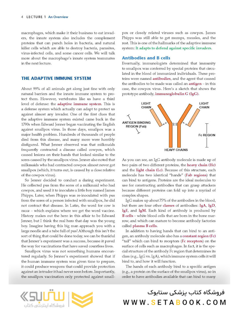 How the Immune System Works, 6th Edition2019
