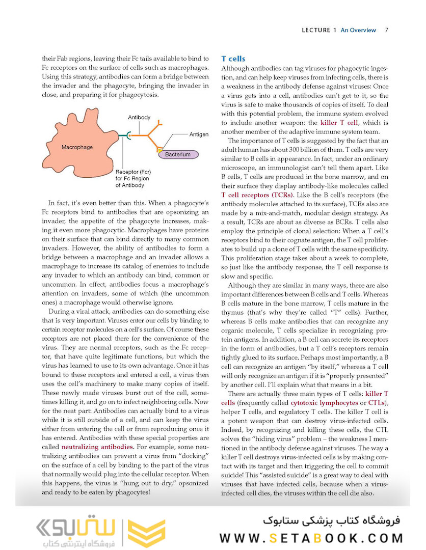 How the Immune System Works, 6th Edition2019