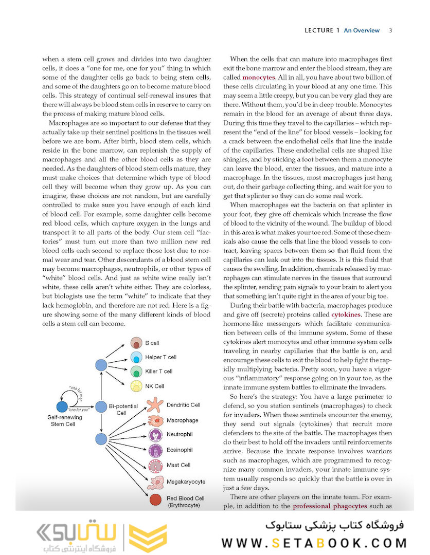 How the Immune System Works, 6th Edition2019