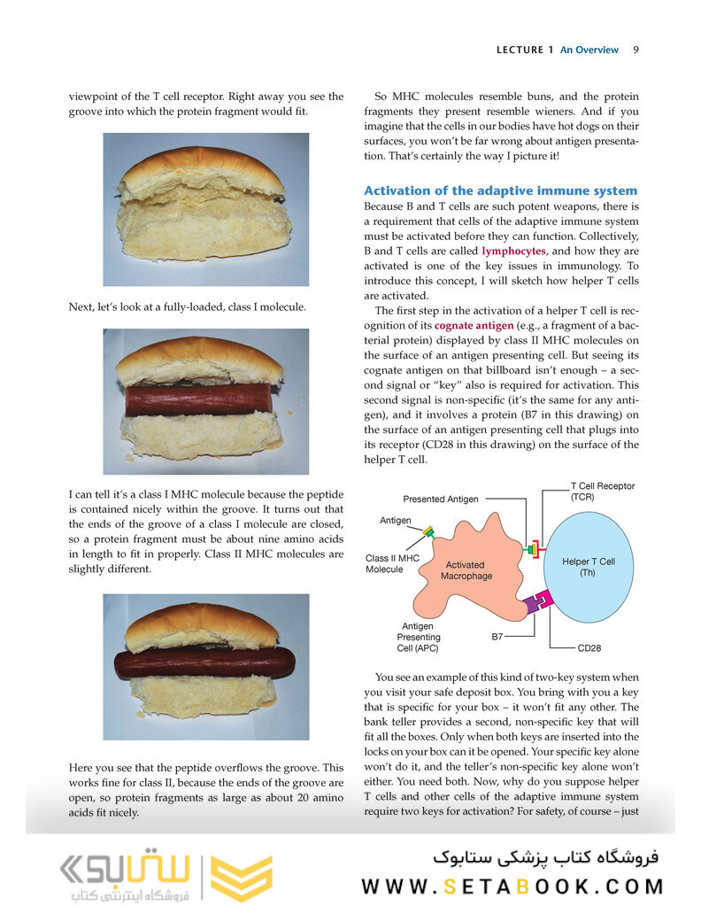 How the Immune System Works, 6th Edition2019