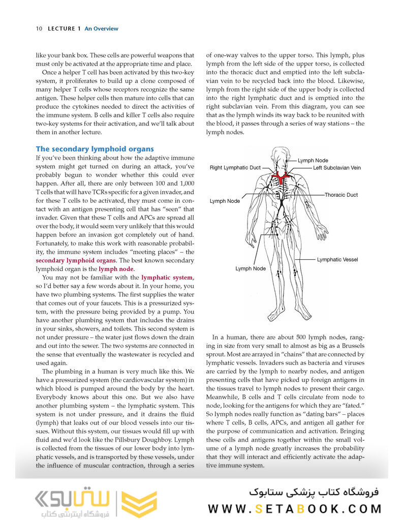 How the Immune System Works, 6th Edition2019