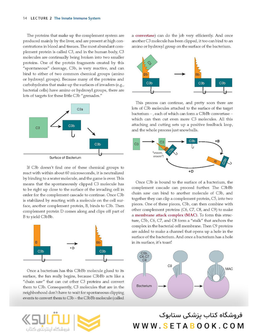 How the Immune System Works, 6th Edition2019