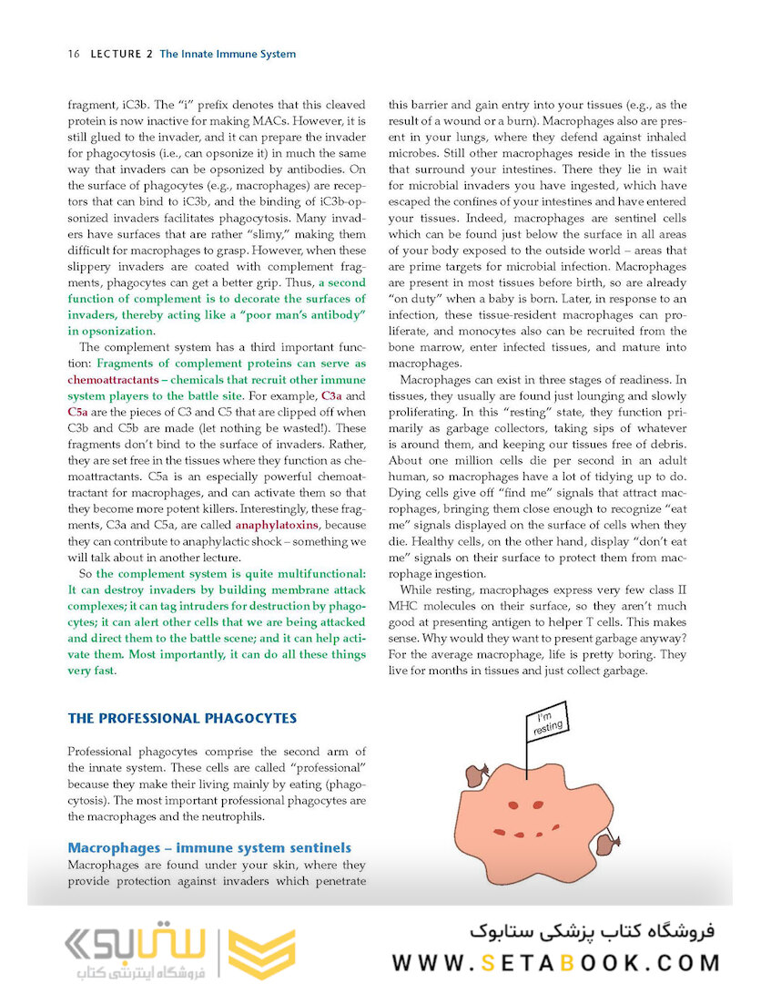 How the Immune System Works, 6th Edition2019