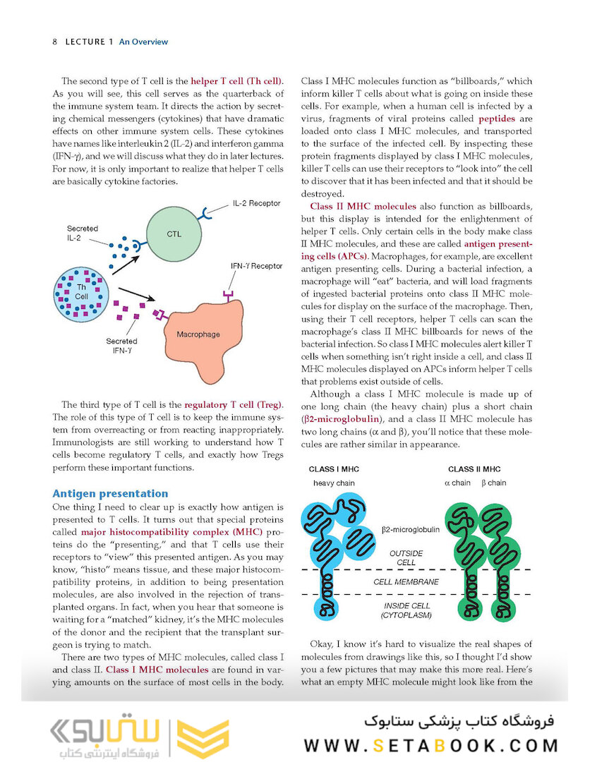 How the Immune System Works, 6th Edition2019