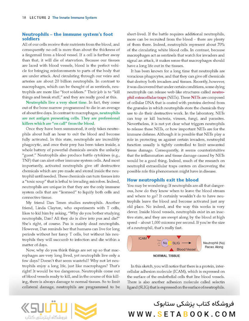 How the Immune System Works, 6th Edition2019