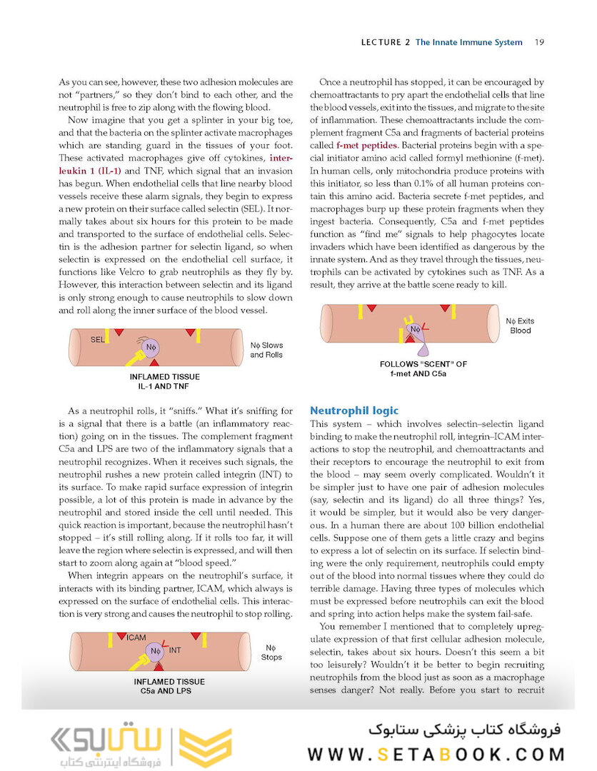 How the Immune System Works, 6th Edition2019