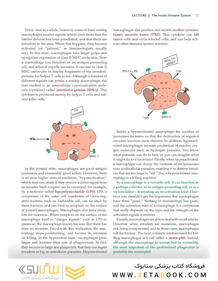 How the Immune System Works, 6th Edition2019