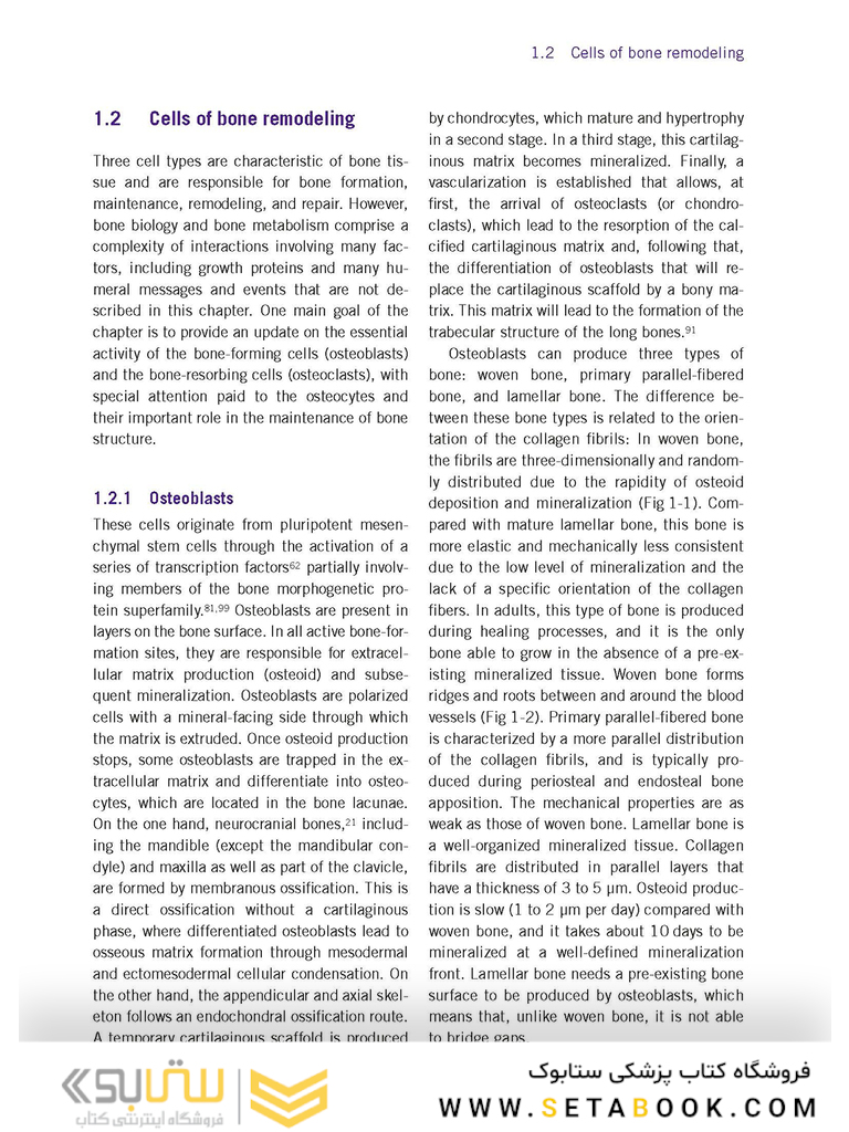 Bone and Soft Tissue Augmentation in Implantology 2022
