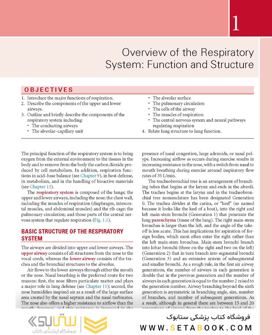 Respiratory Physiology: Mosby Physiology Series 2nd Edition