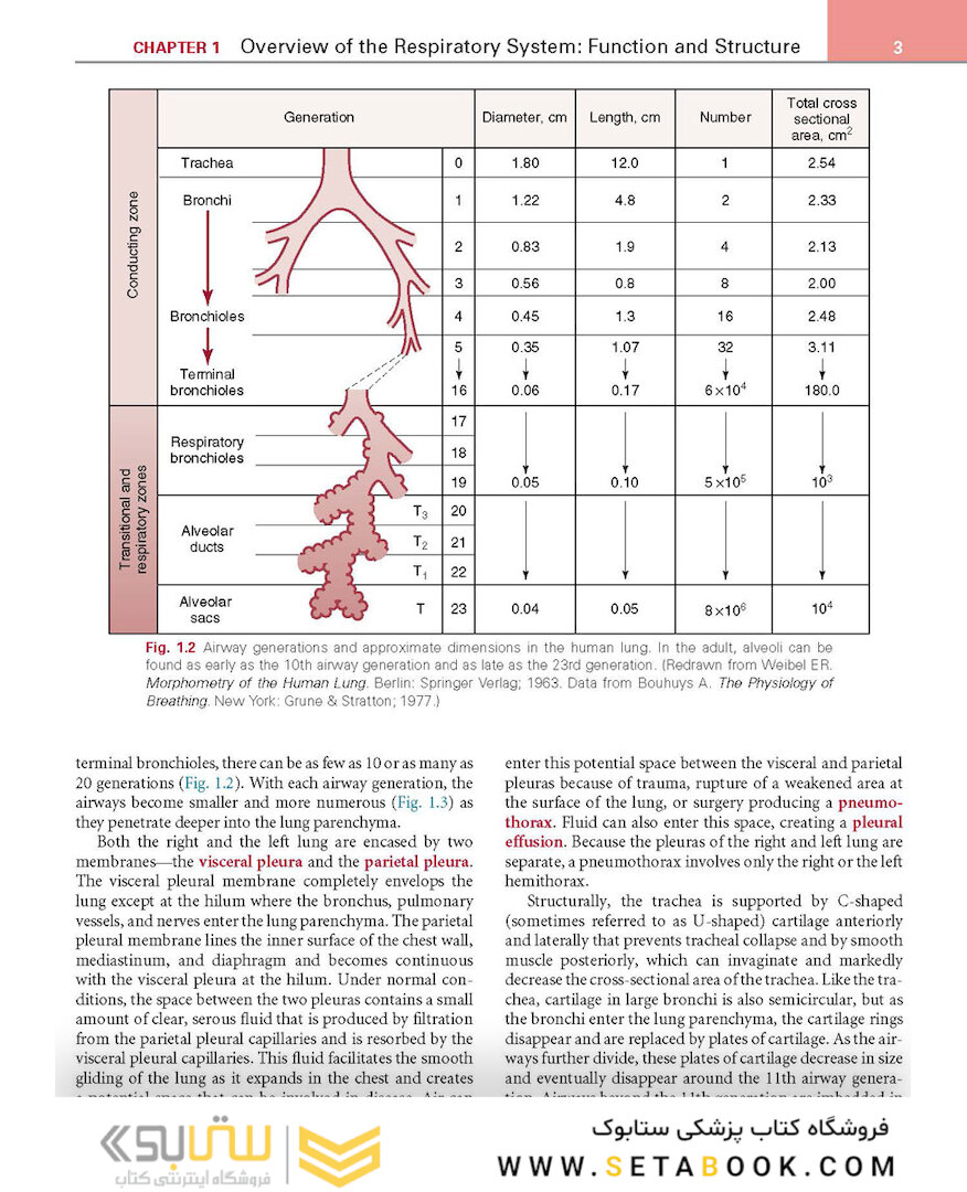 Respiratory Physiology: Mosby Physiology Series 2nd Edition