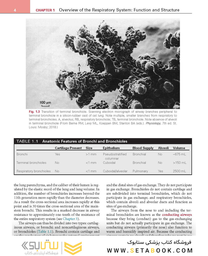 Respiratory Physiology: Mosby Physiology Series 2nd Edition