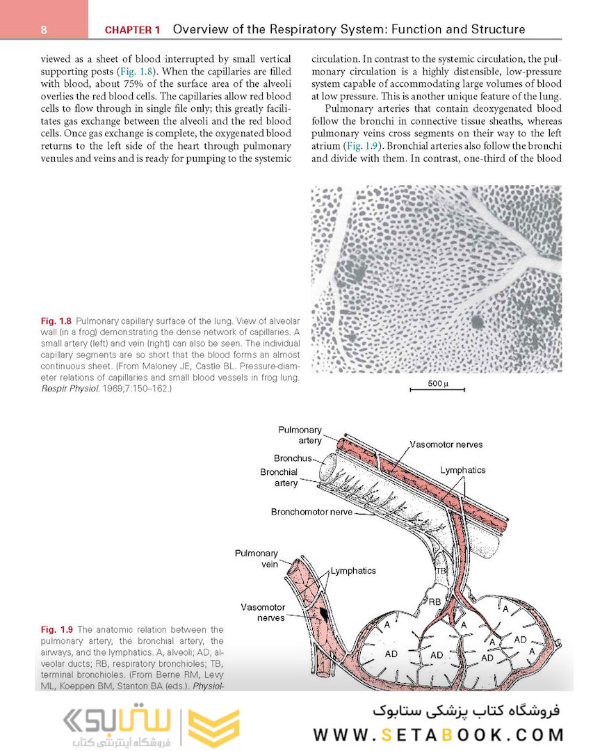 Respiratory Physiology: Mosby Physiology Series 2nd Edition
