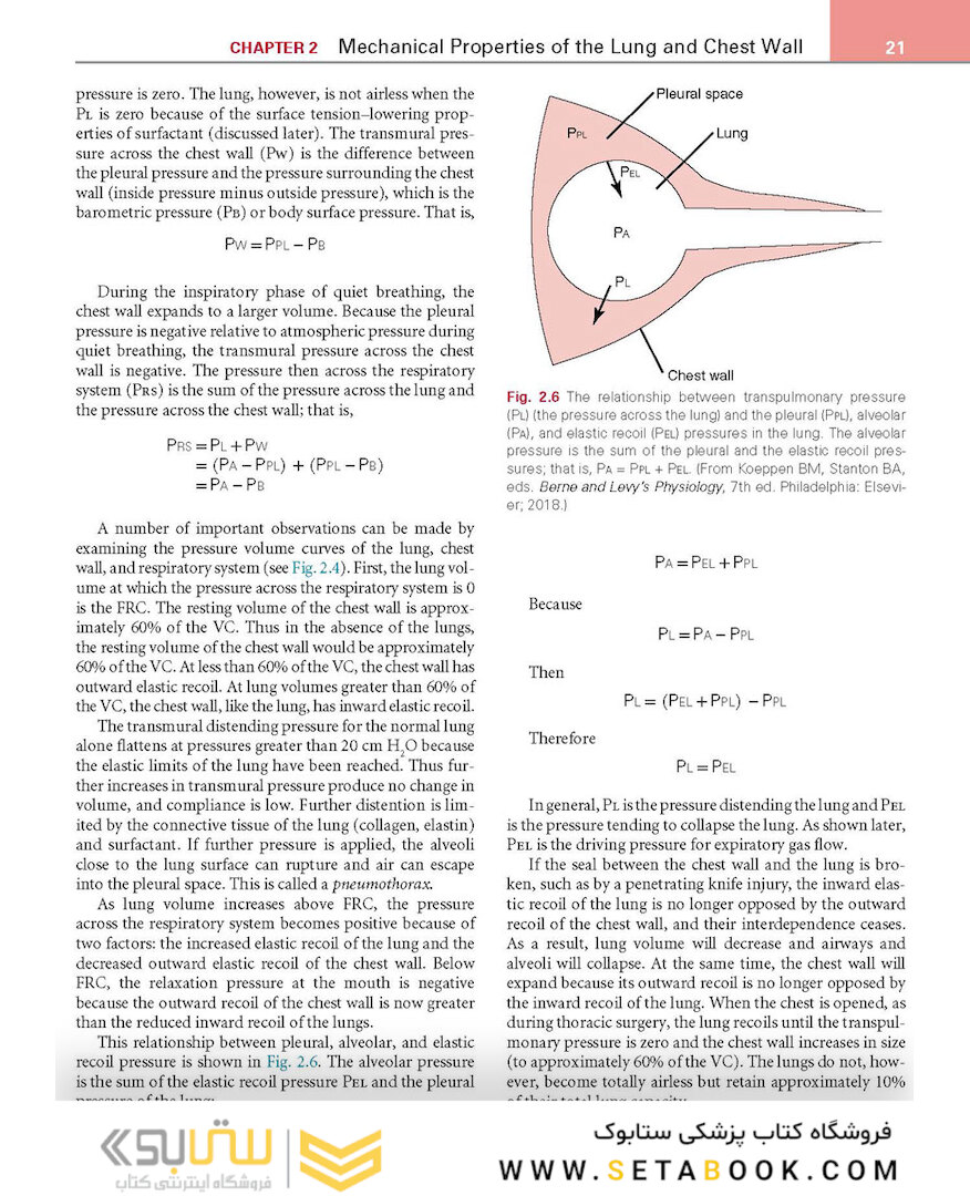 Respiratory Physiology: Mosby Physiology Series 2nd Edition