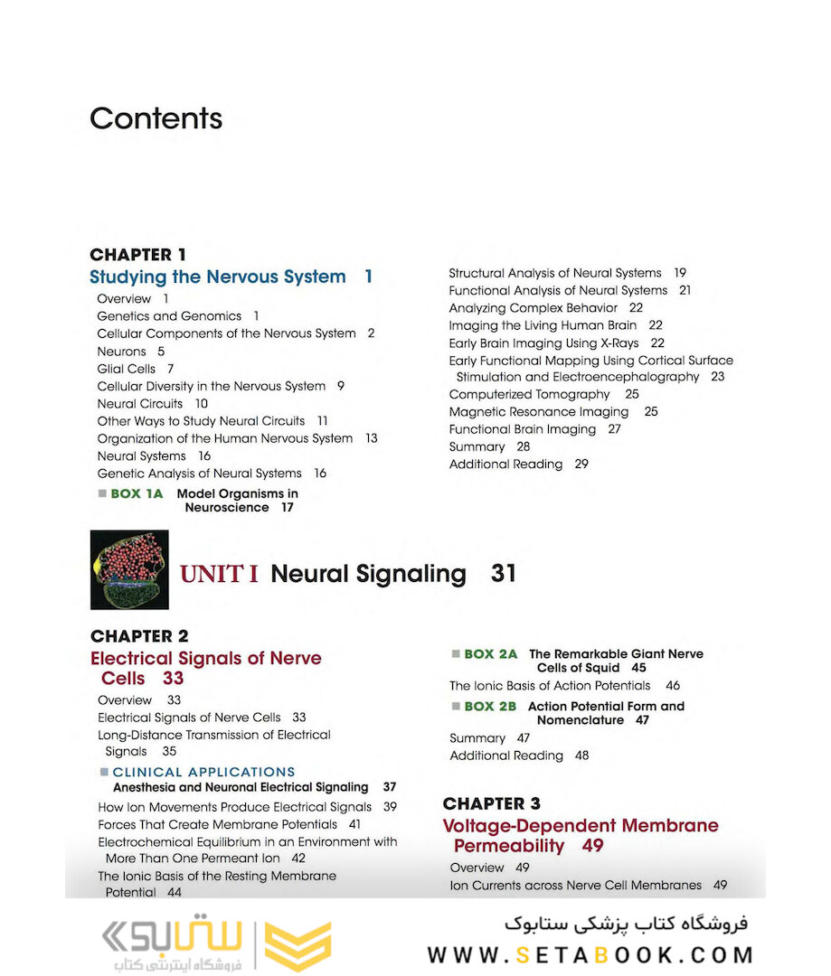 Neuroscience 6th Edition