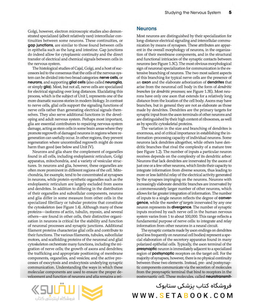 Neuroscience 6th Edition