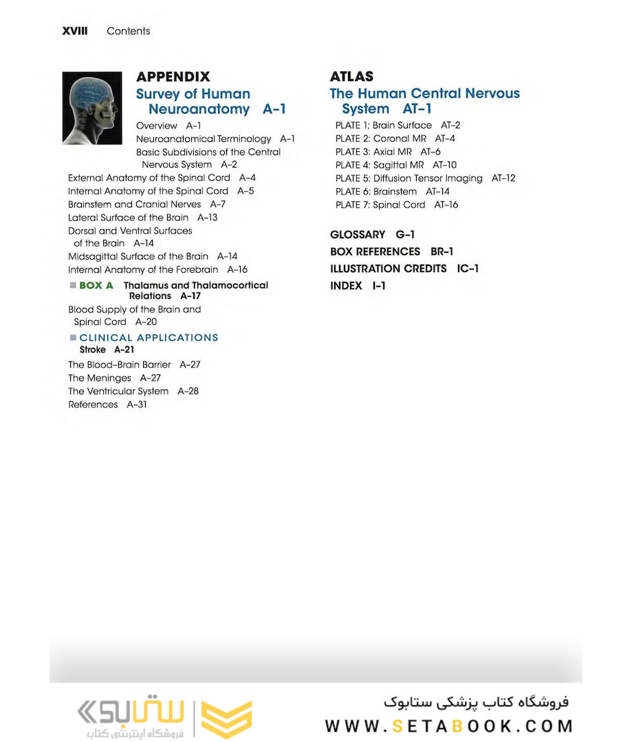 Neuroscience 6th Edition