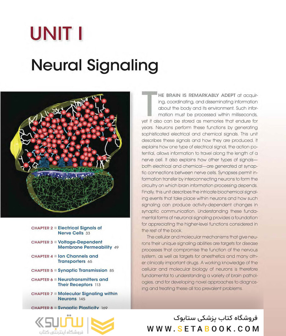 Neuroscience 6th Edition