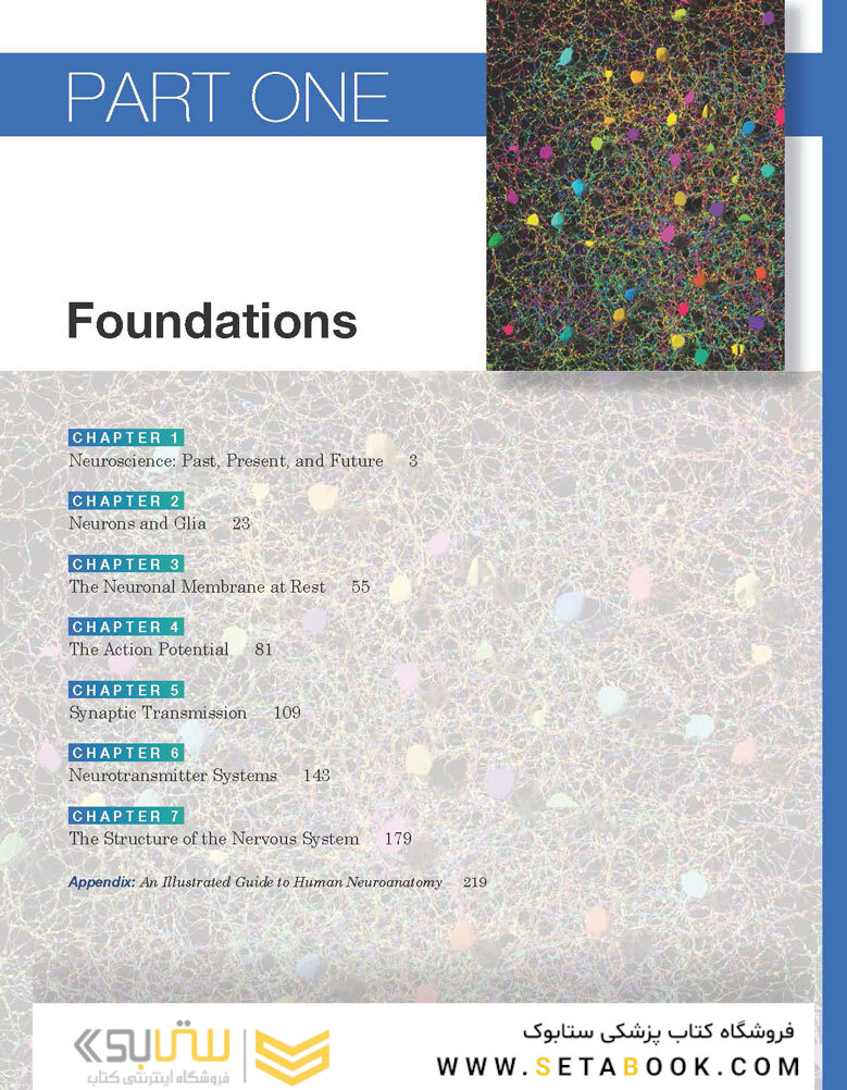 Neuroscience : Exploring the Brain 4th Edicion