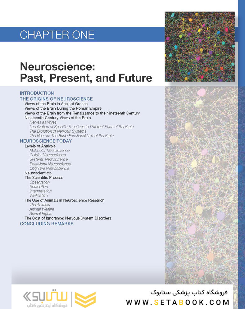 Neuroscience : Exploring the Brain 4th Edicion