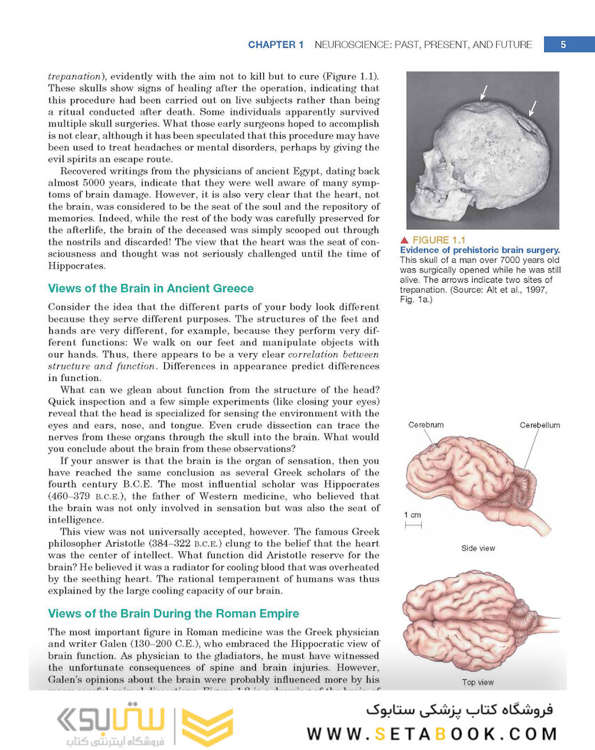 Neuroscience : Exploring the Brain 4th Edicion