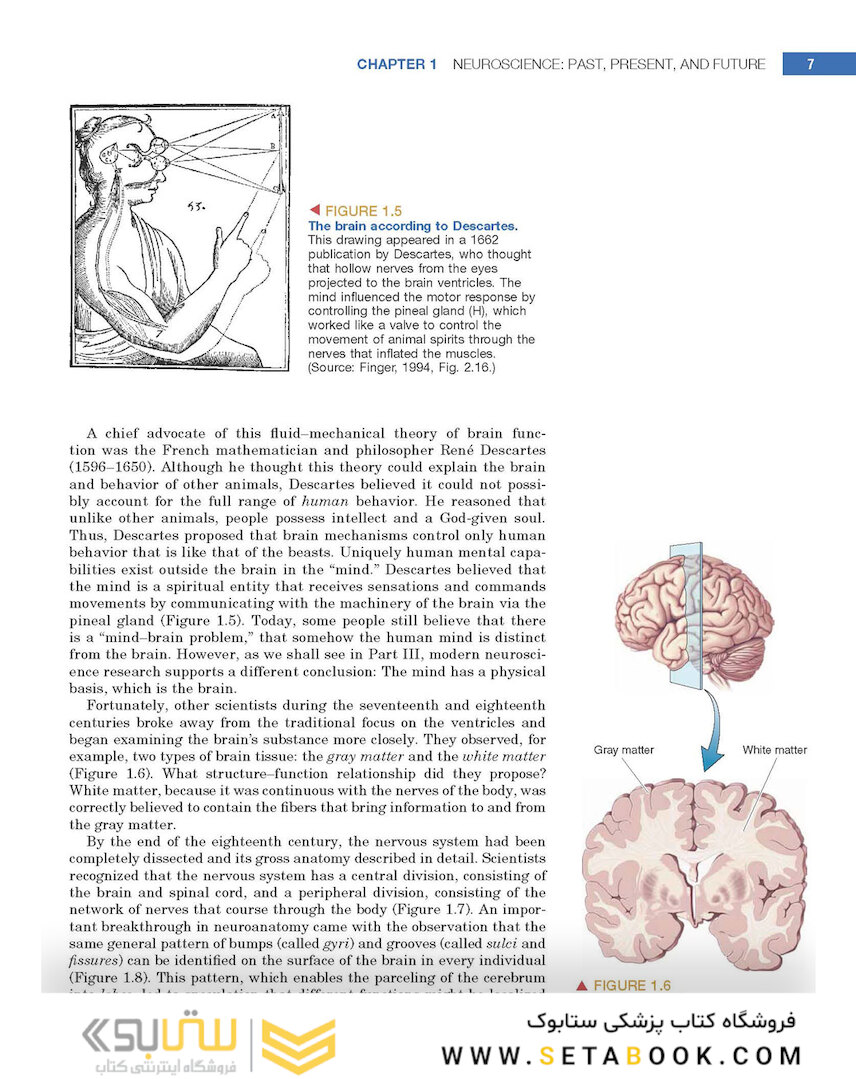 Neuroscience : Exploring the Brain 4th Edicion