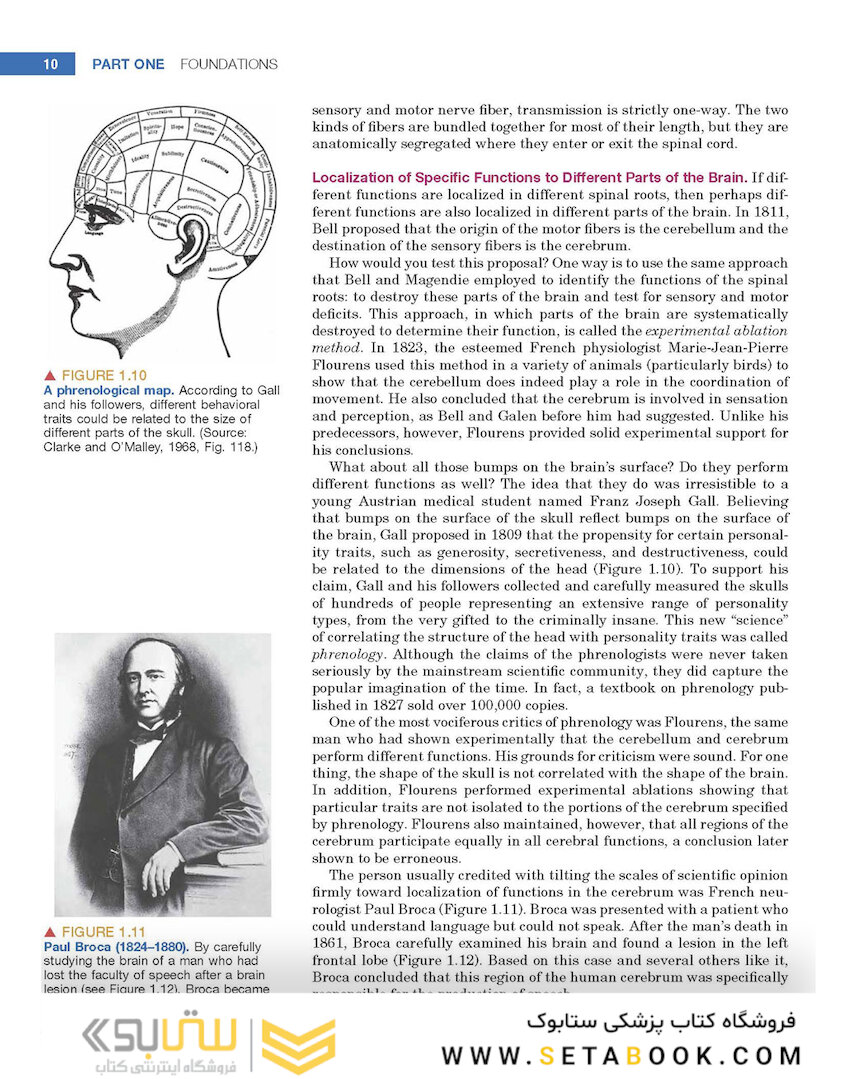 Neuroscience : Exploring the Brain 4th Edicion