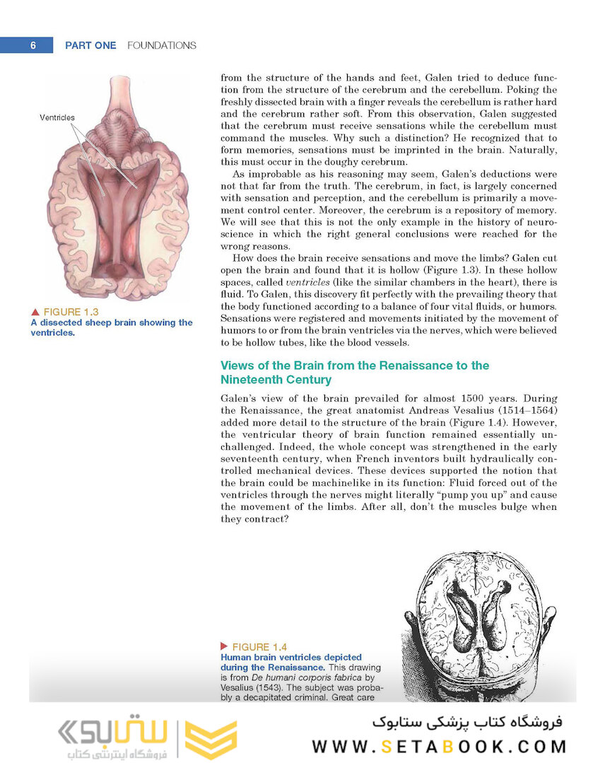 Neuroscience : Exploring the Brain 4th Edicion
