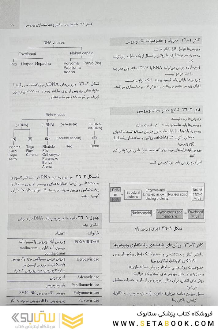 میکروب شناسی مورای جلد دوم 2021 ویروس شناسی، انگل شناسی، قارچ شناسی