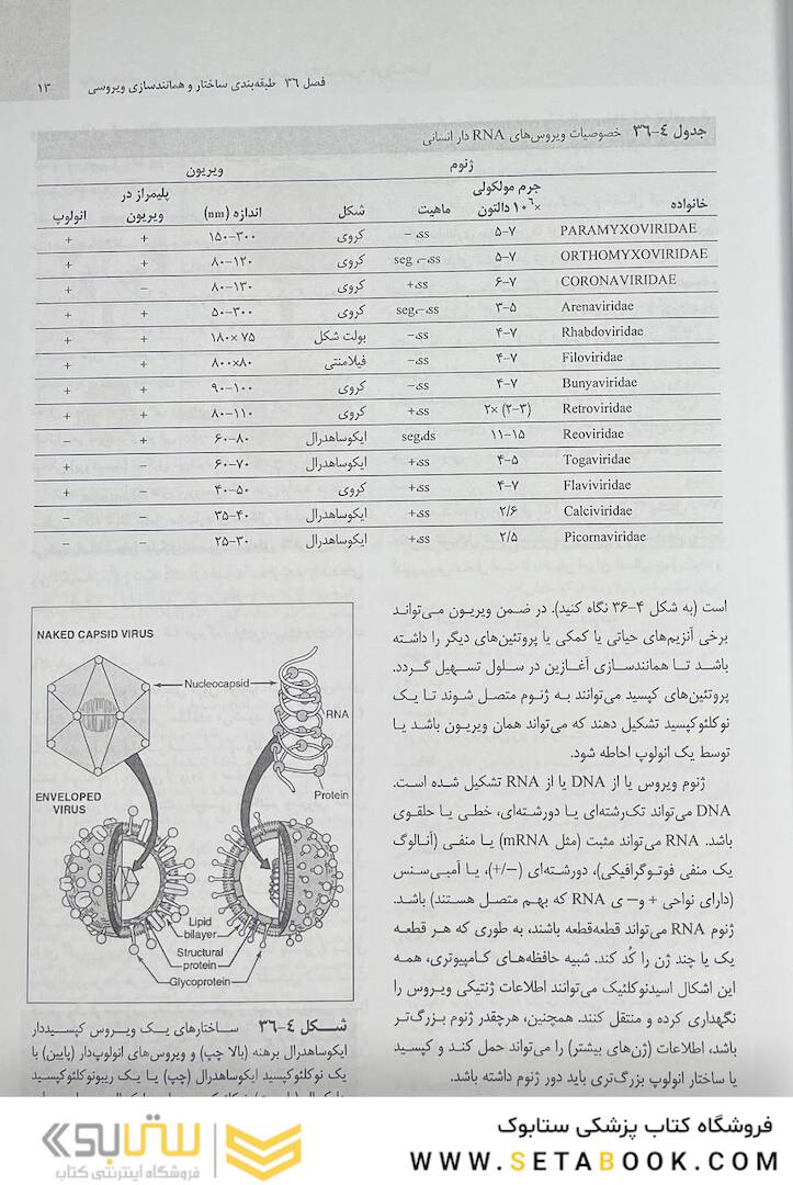 میکروب شناسی مورای جلد دوم 2021 ویروس شناسی، انگل شناسی، قارچ شناسی