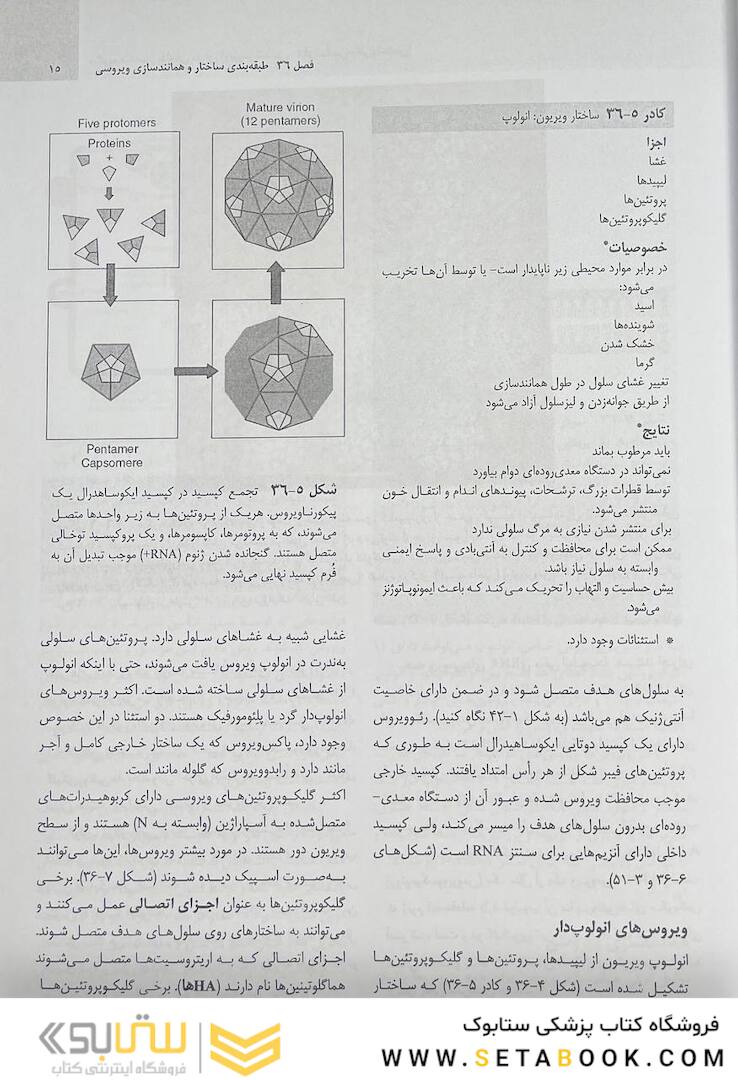 میکروب شناسی مورای جلد دوم 2021 ویروس شناسی، انگل شناسی، قارچ شناسی