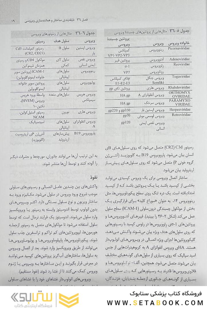 میکروب شناسی مورای جلد دوم 2021 ویروس شناسی، انگل شناسی، قارچ شناسی