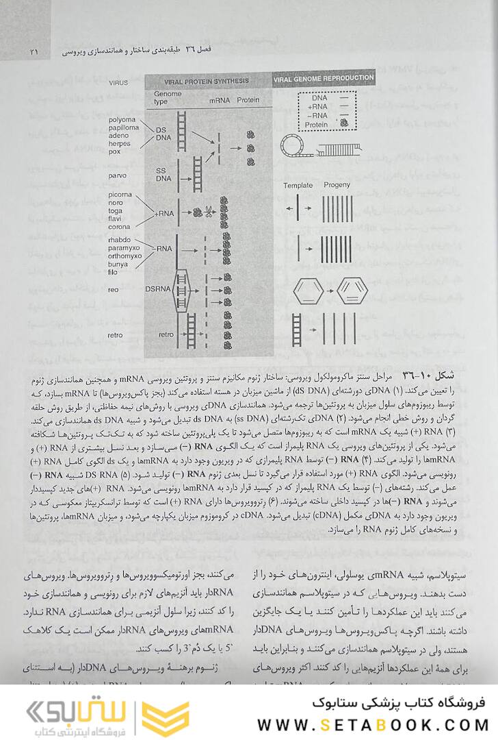 میکروب شناسی مورای جلد دوم 2021 ویروس شناسی، انگل شناسی، قارچ شناسی