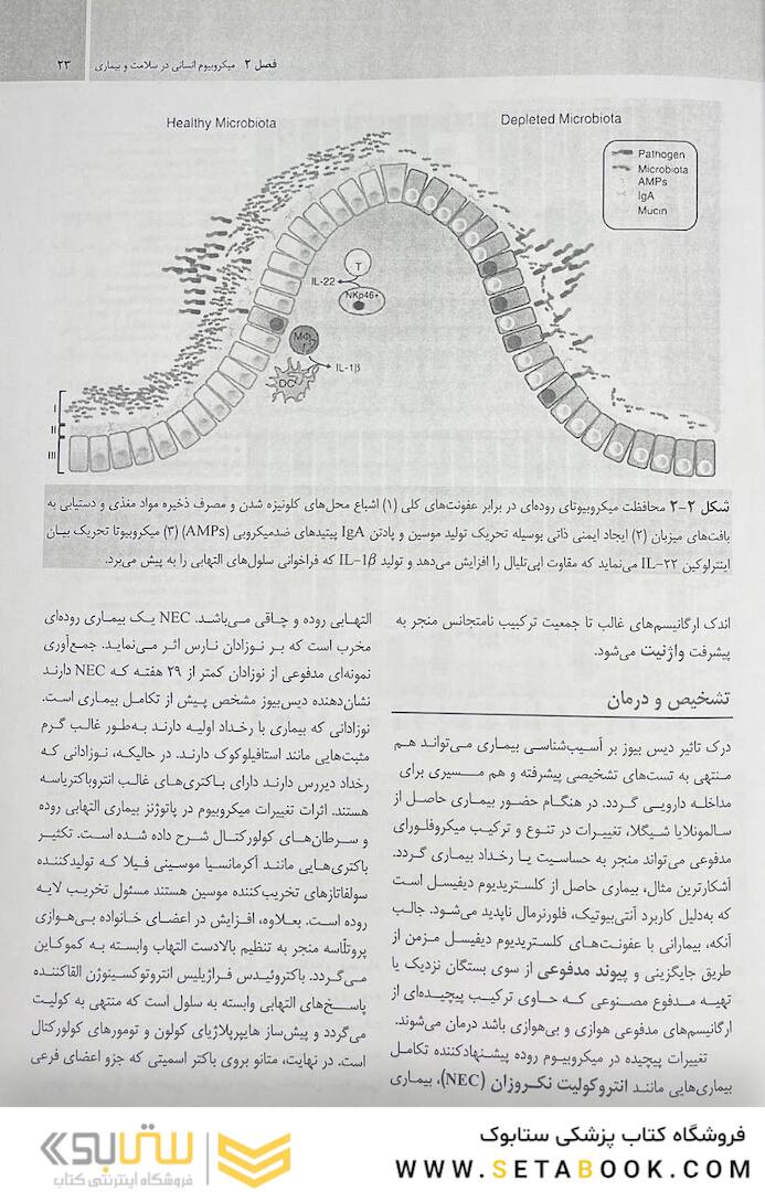 میکروب شناسی مورای جلد اول 2021 باکتری شناسی - ایمنی شناسی