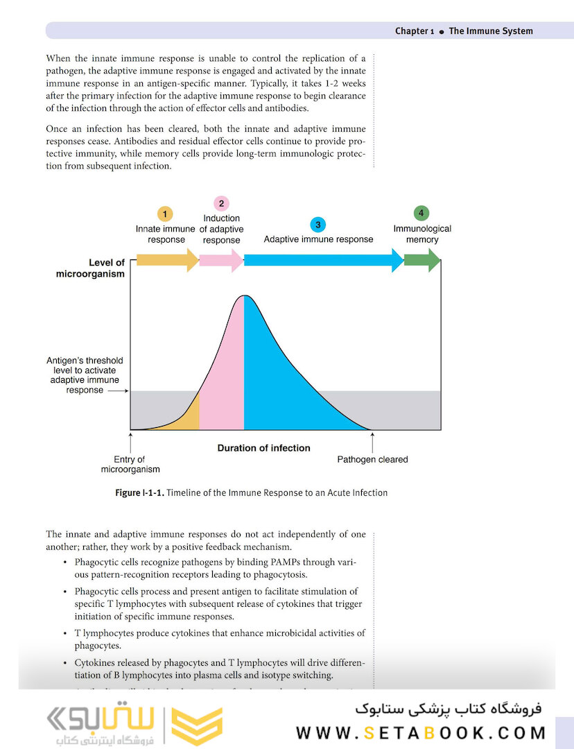 USMLE Step 1 Lecture Notes 2022: Immunology and Microbiology
