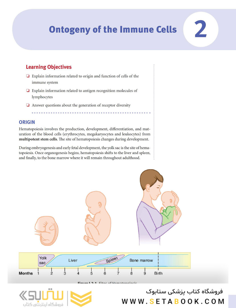 USMLE Step 1 Lecture Notes 2022: Immunology and Microbiology