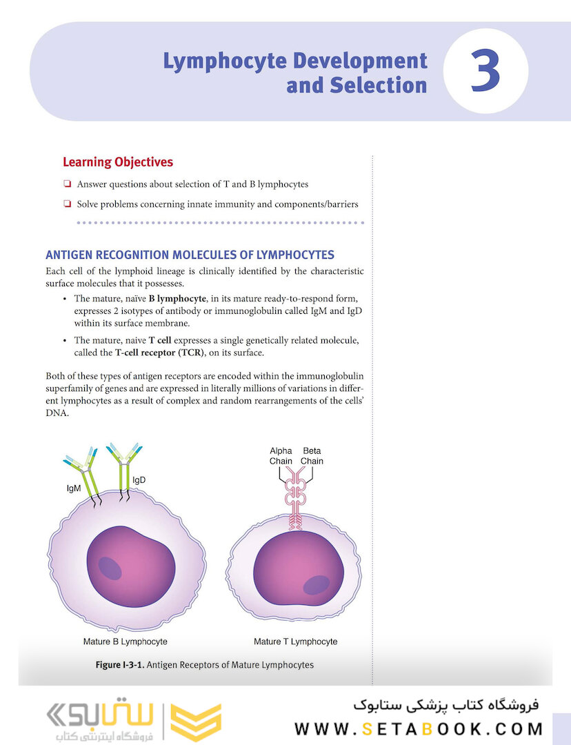 USMLE Step 1 Lecture Notes 2022: Immunology and Microbiology