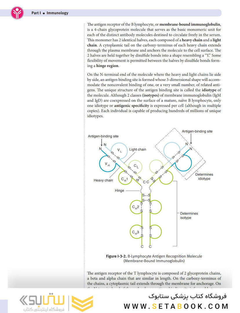 USMLE Step 1 Lecture Notes 2022: Immunology and Microbiology