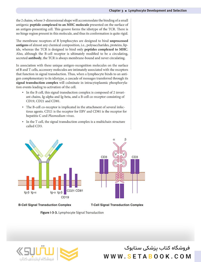 USMLE Step 1 Lecture Notes 2022: Immunology and Microbiology