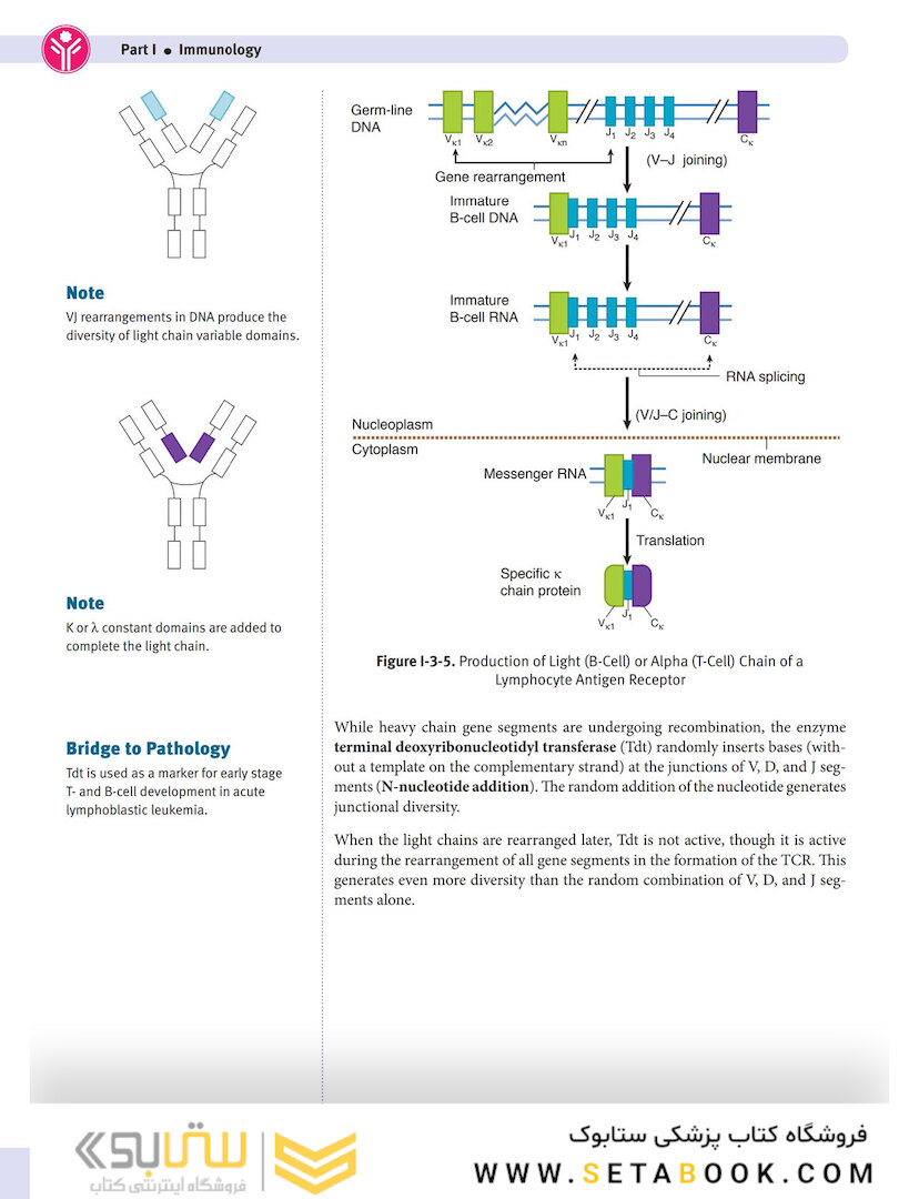 USMLE Step 1 Lecture Notes 2022: Immunology and Microbiology