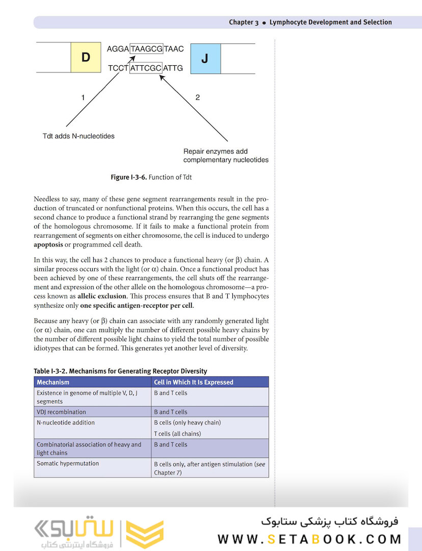 USMLE Step 1 Lecture Notes 2022: Immunology and Microbiology
