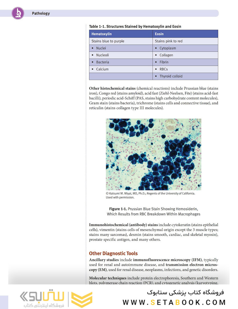USMLE Step 1 Lecture Notes 2022:pathology