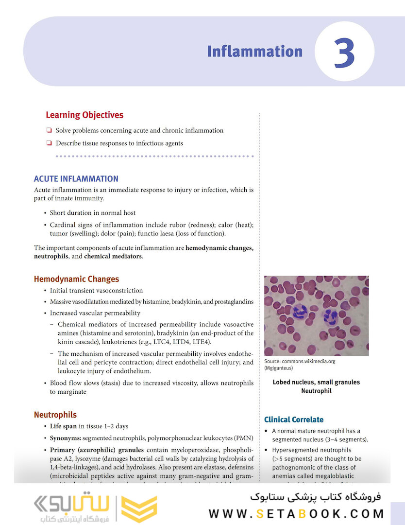 USMLE Step 1 Lecture Notes 2022:pathology