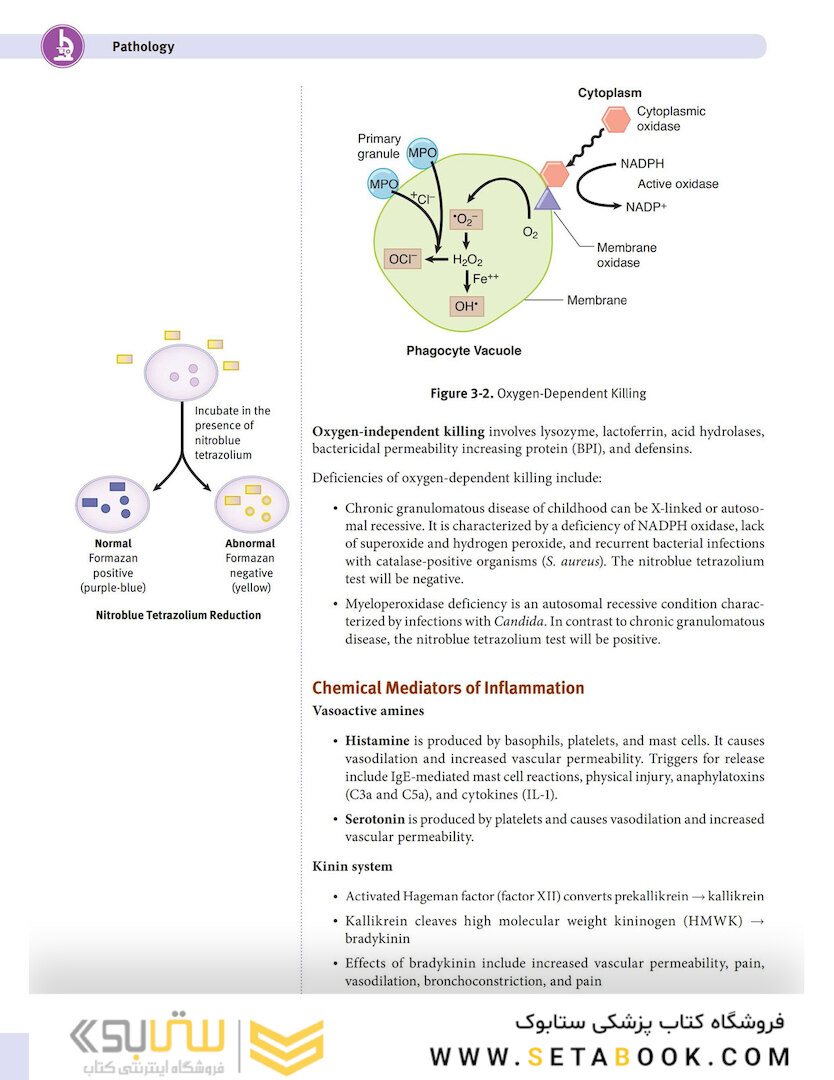USMLE Step 1 Lecture Notes 2022:pathology