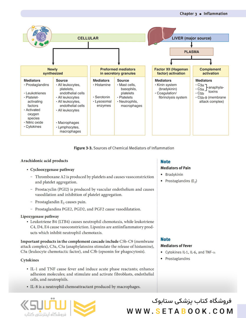 USMLE Step 1 Lecture Notes 2022:pathology