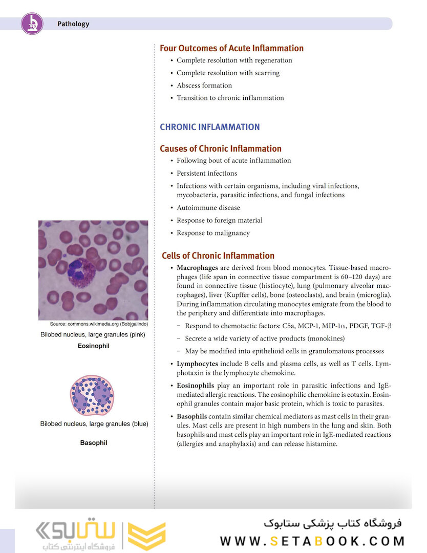 USMLE Step 1 Lecture Notes 2022:pathology