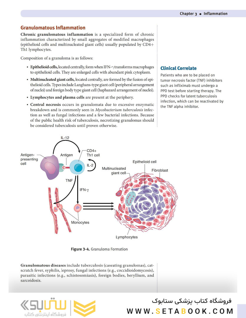 USMLE Step 1 Lecture Notes 2022:pathology
