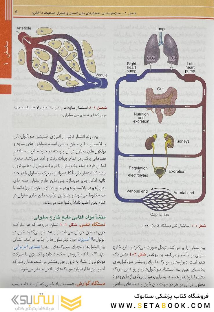 فیزیولوژی پزشکی گایتون و هال 2021 جلد 1