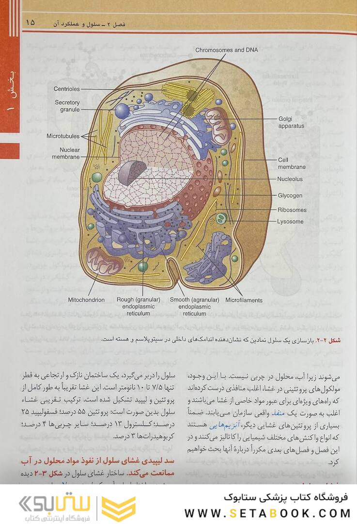 فیزیولوژی پزشکی گایتون و هال 2021 جلد 1