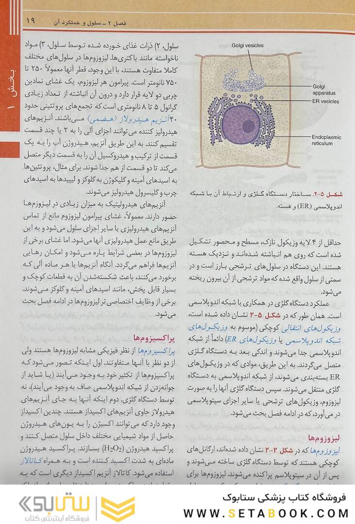 فیزیولوژی پزشکی گایتون و هال 2021 جلد 1